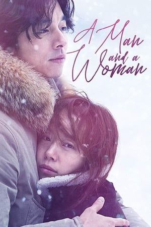 A Man and A Woman (2016) Dual Audio | Dubbed Hindi Movie BluRay [950MB]
