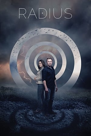 Radius (2017) Dual Audio | Dubbed Hindi Movie BluRay 300MB